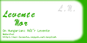 levente mor business card